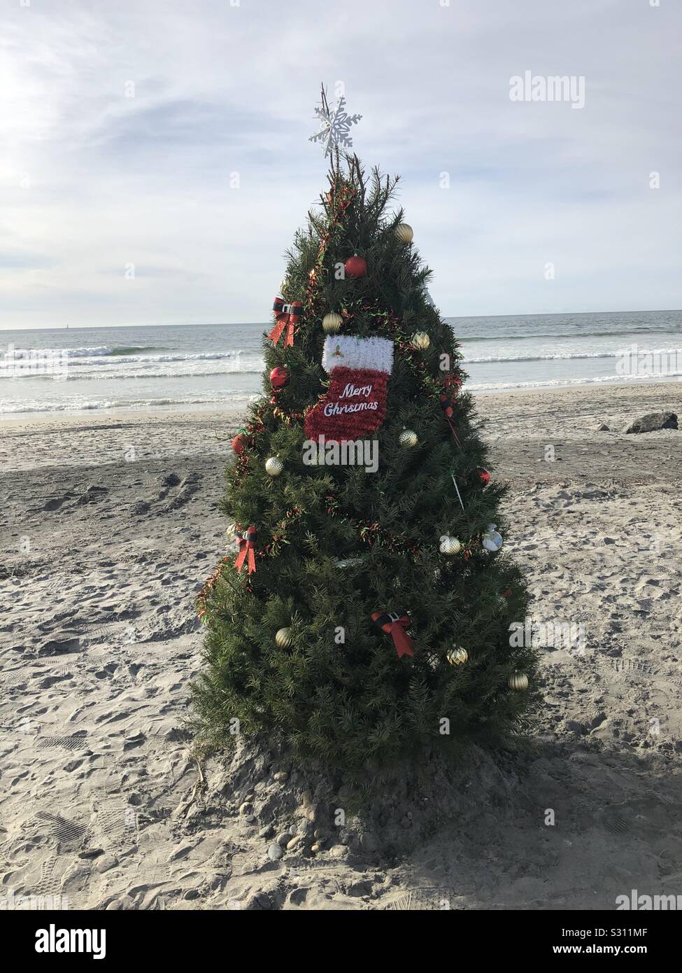 Christmas Tree on the Beach Stock Photo Alamy
