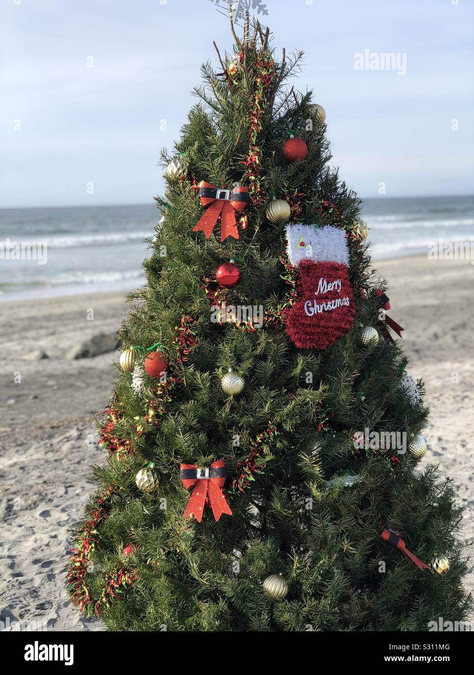 Christmas Tree on the beach Stock Photo Alamy