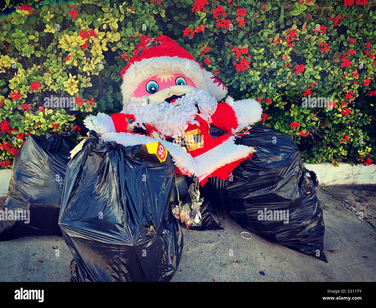 After Christmas garbage Stock Photo Alamy