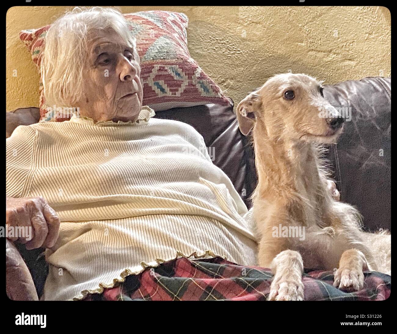 Old lady friends hi-res stock photography and images - Alamy