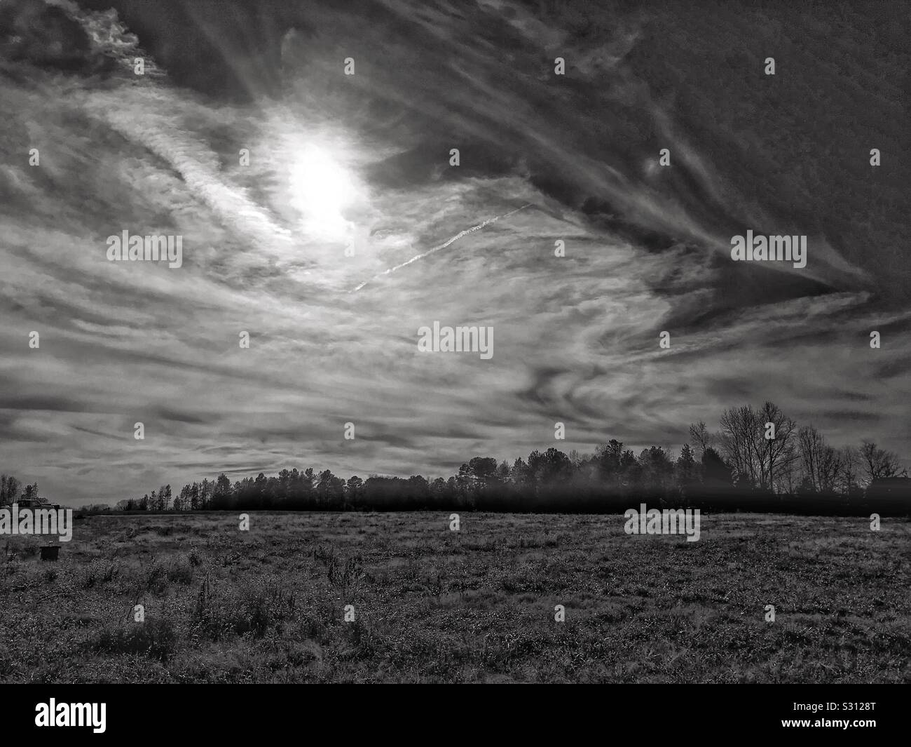 Pasture landscape black white smartphone stock photos and images - Alamy