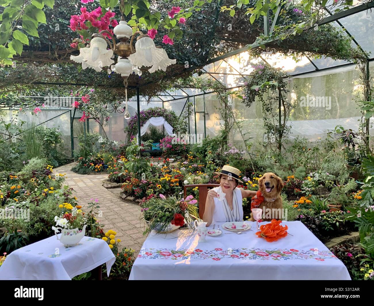 An afternoon tea with your favorite pet in a dreamy garden. The lush proposal garden at Sonya’s Garden in Alfonso, Cavite, Philippines. The luxury of afternoon tea and dining on English bone China. Stock Photo
