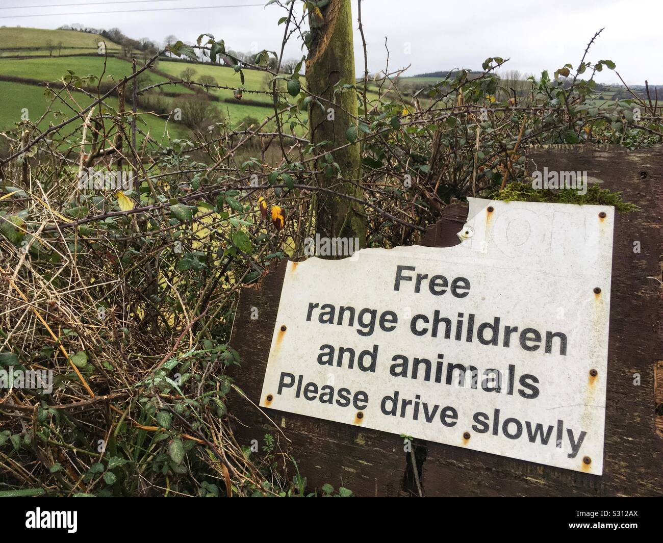 Free range children and animals please drive slowly sign in Devon, England Stock Photo