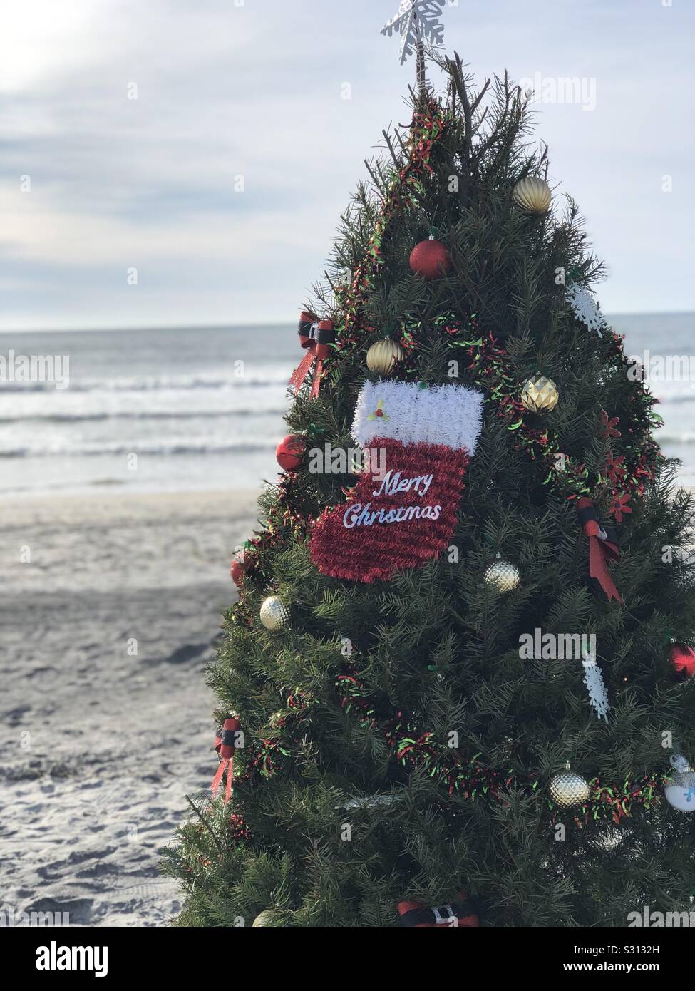 Christmas Tree on the Beach Stock Photo Alamy