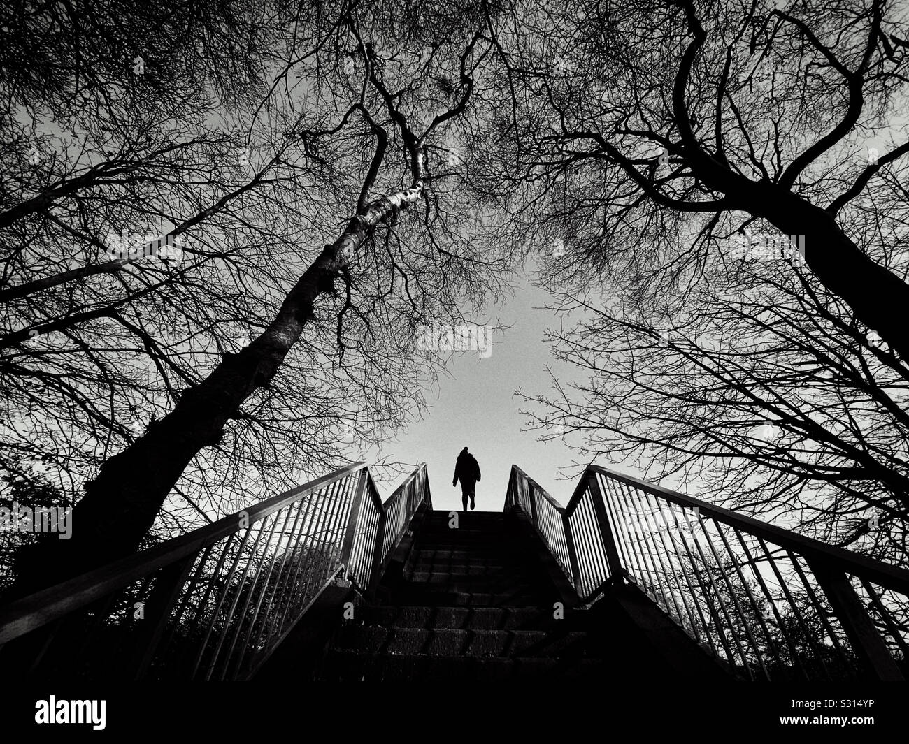 Figure in silhouette walking up stairway surrounded by trees Stock Photo