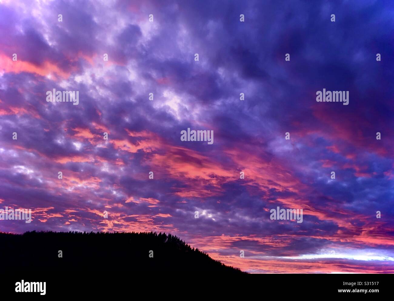Dramatic sunset over Guisborough woods in Cleveland Stock Photo - Alamy