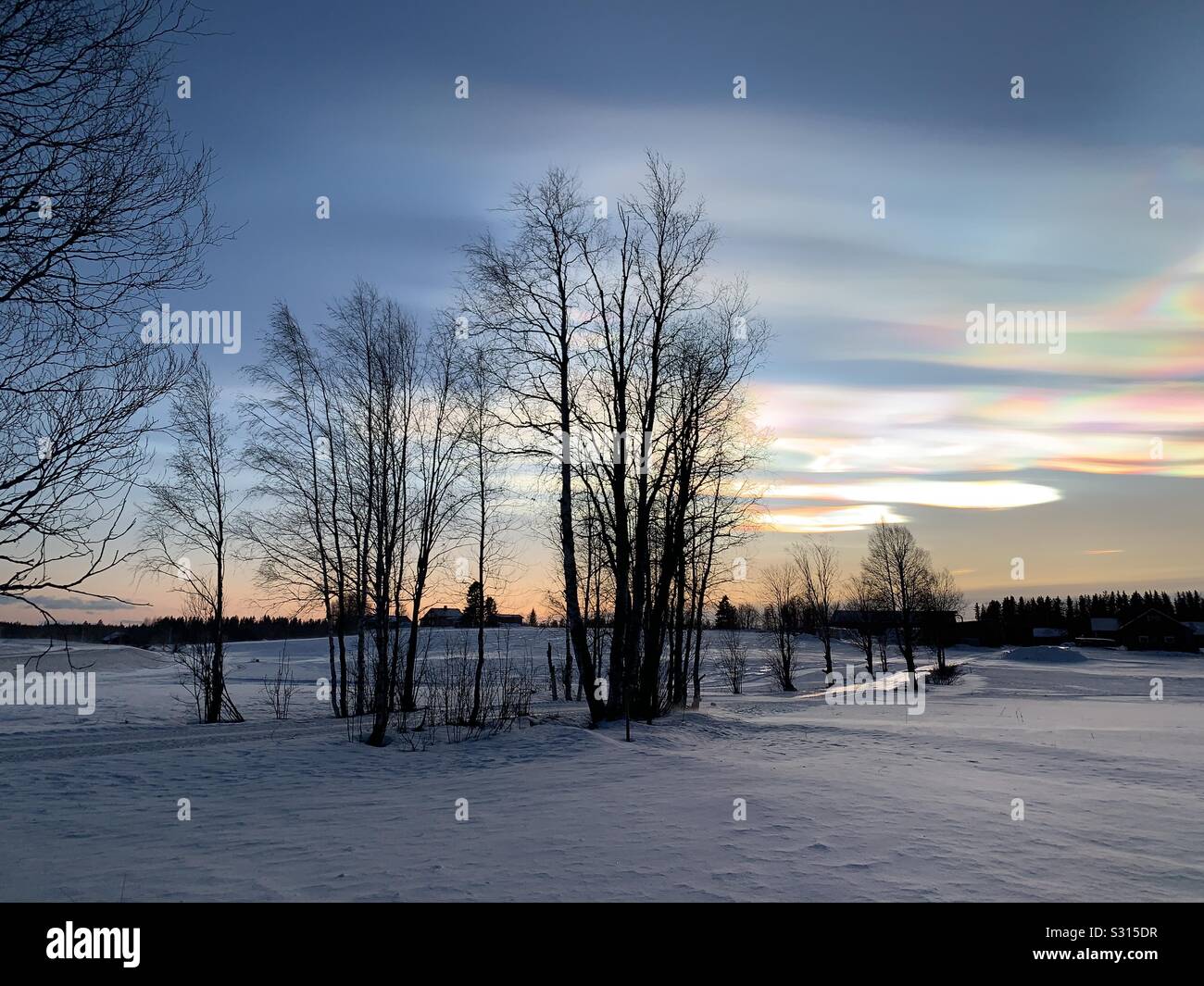 Polar Stratospheric Clouds Sweden - Smartphone Captured Stock Image