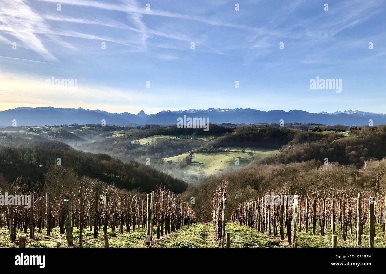 Vineyards by the Pyrenees in Jurançon, Pyrénées-Atlantiques, France Stock Photo