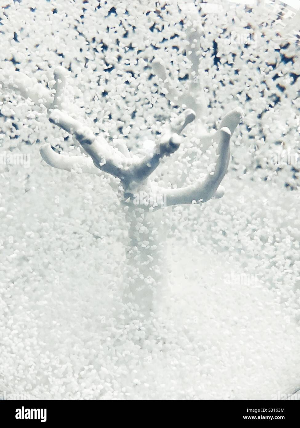 Inside the snow globe Stock Photo Alamy