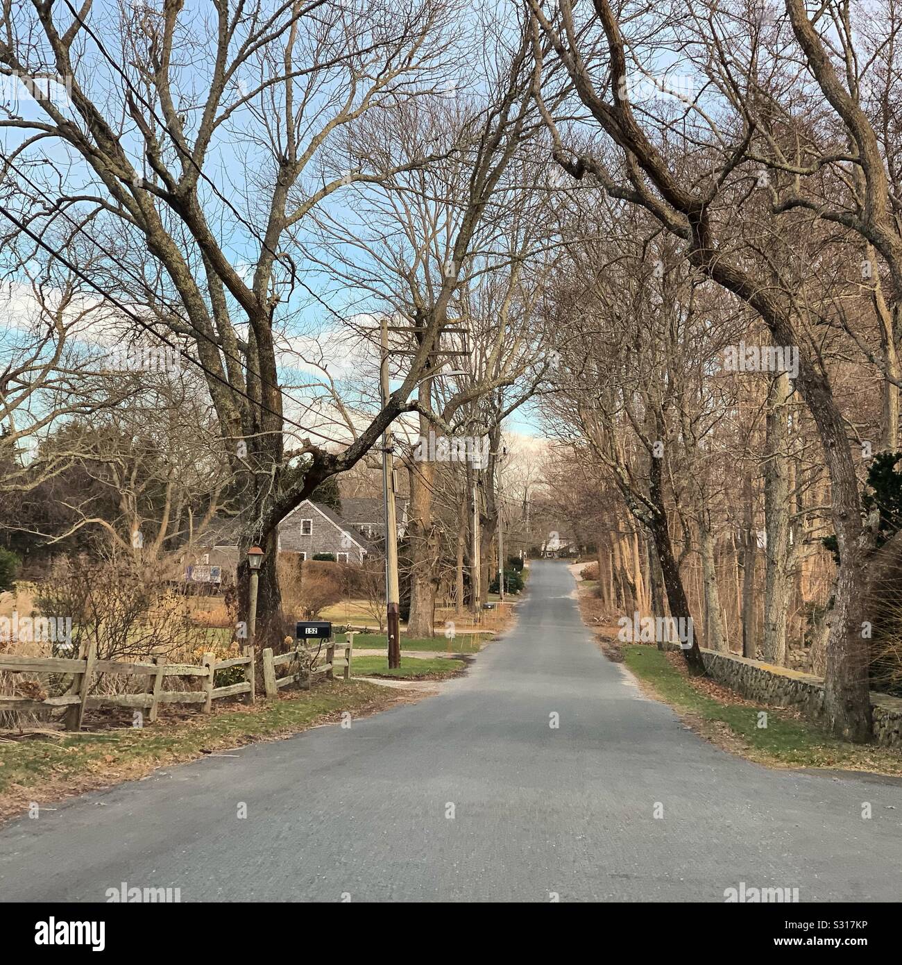 A residential street in December on Cape Cod, Massachusetts, United States - Smartphone Captured Stock Image