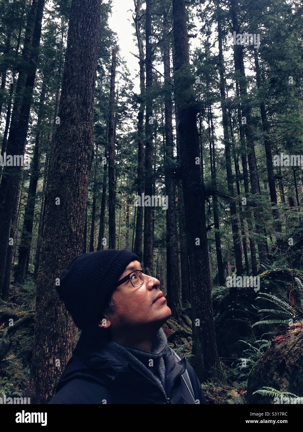 Don’t forget to look up even in a thick forest! Stock Photo