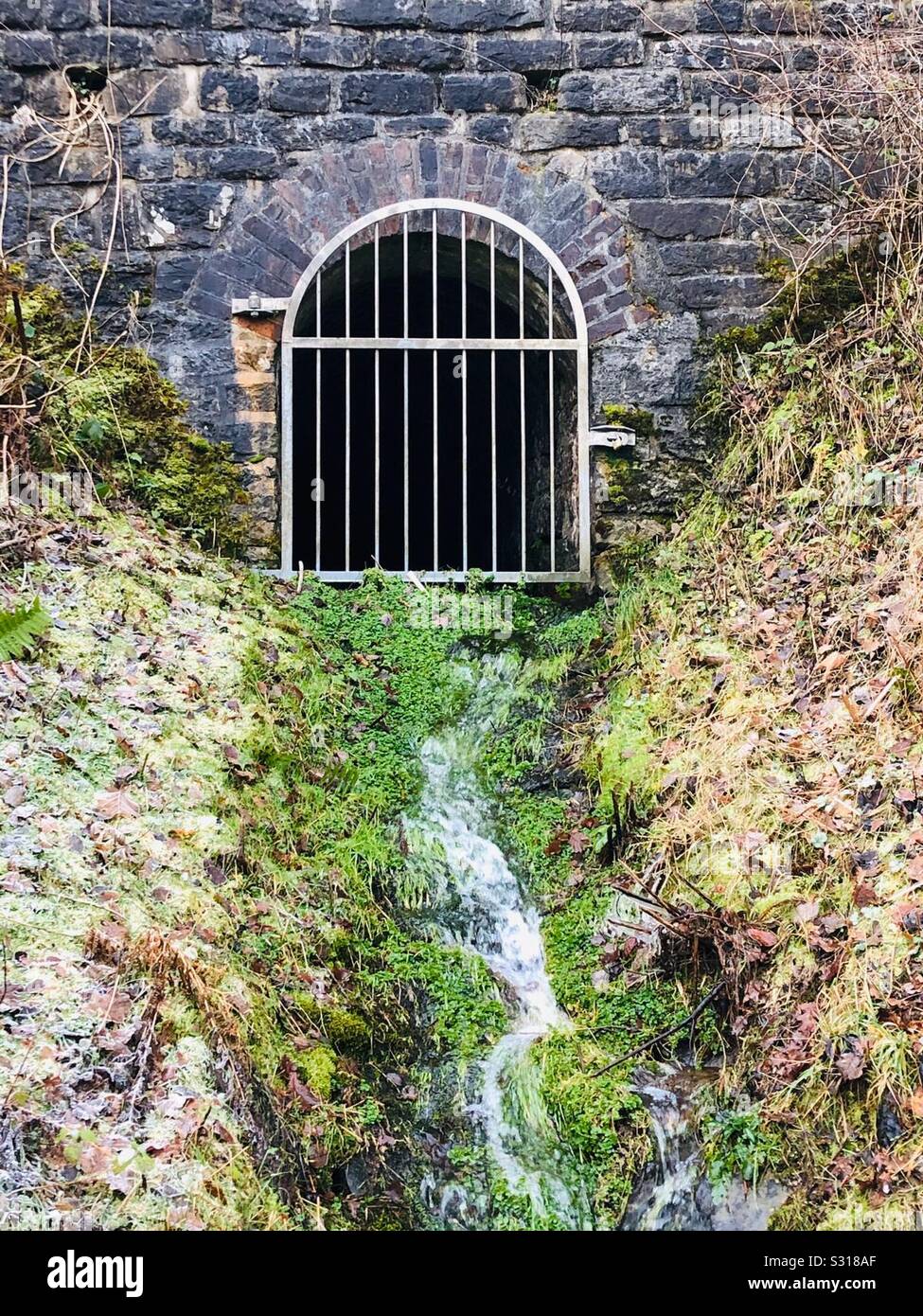 Tunnel entrance - Smartphone Captured Stock Image