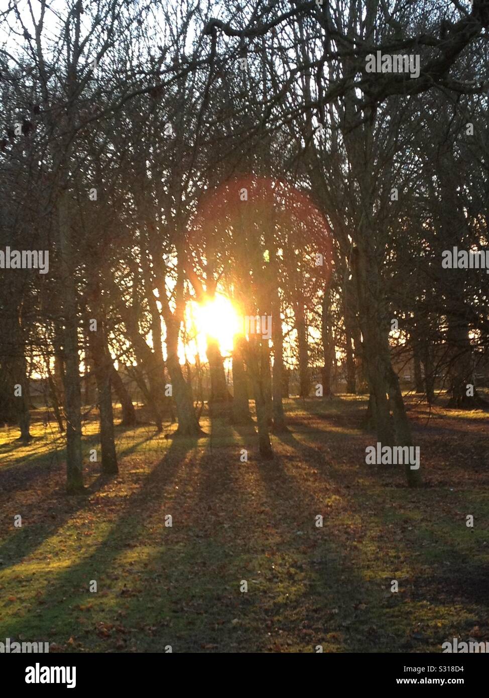 Carnoustie hires stock photography and images Alamy