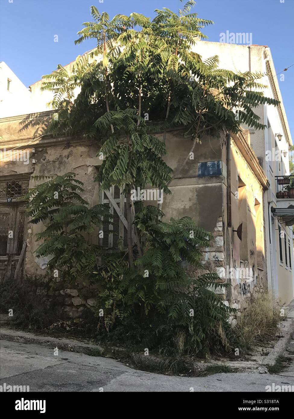 Abandoned house with boarded windows, trees growing, Greece - Smartphone Captured Stock Image