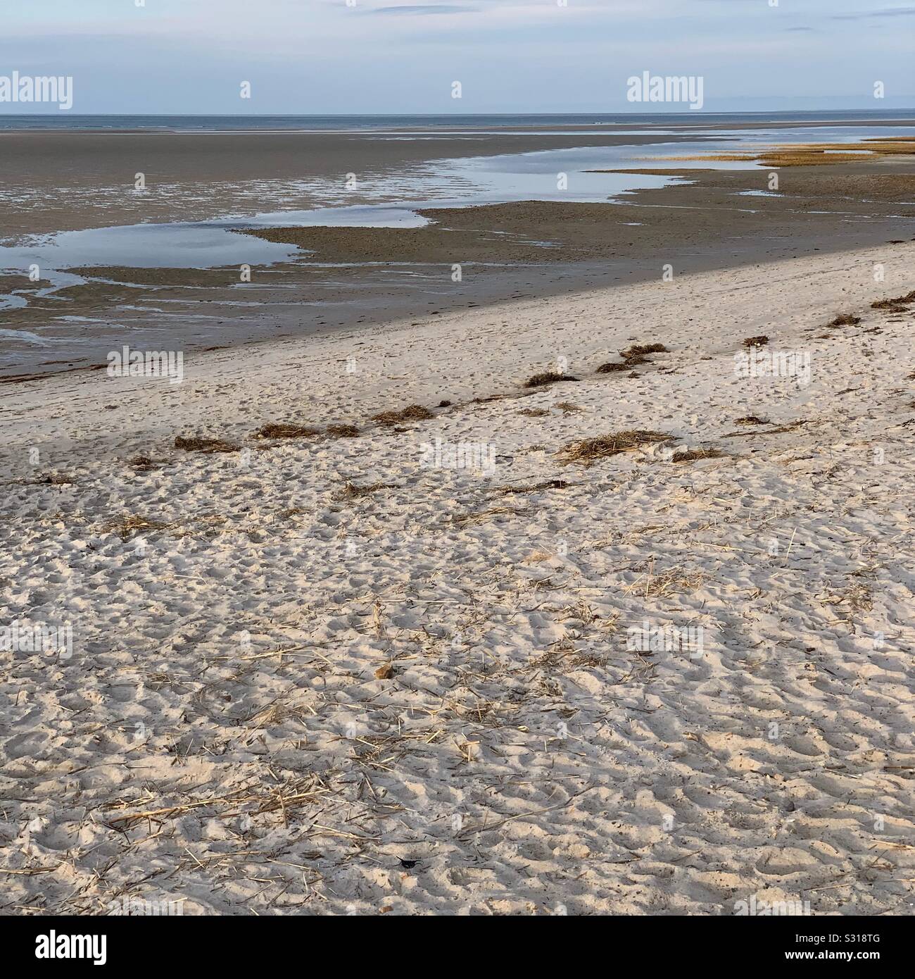 Low tide in December at Chapin Beach, Dennis, Cape Cod, Massachusetts, United States - Smartphone Captured Stock Image