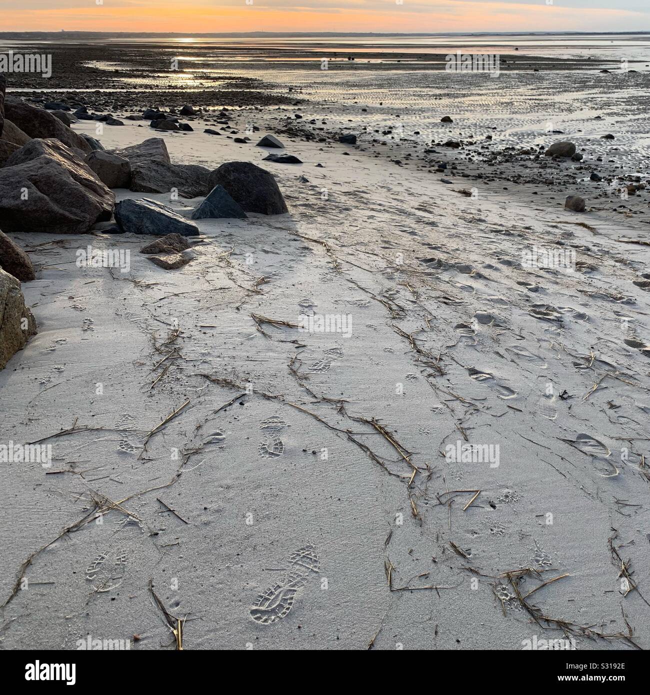 Low tide in December near sunset on Chapin Beach, Dennis, Cape Cod, Massachusetts, United States - Smartphone Captured Stock Image