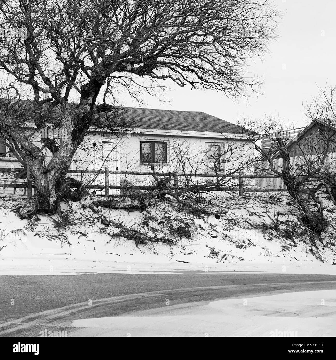 Black and white image of a home on the beach in winter, Cape Cod, Massachusetts, United States - Smartphone Captured Stock Image