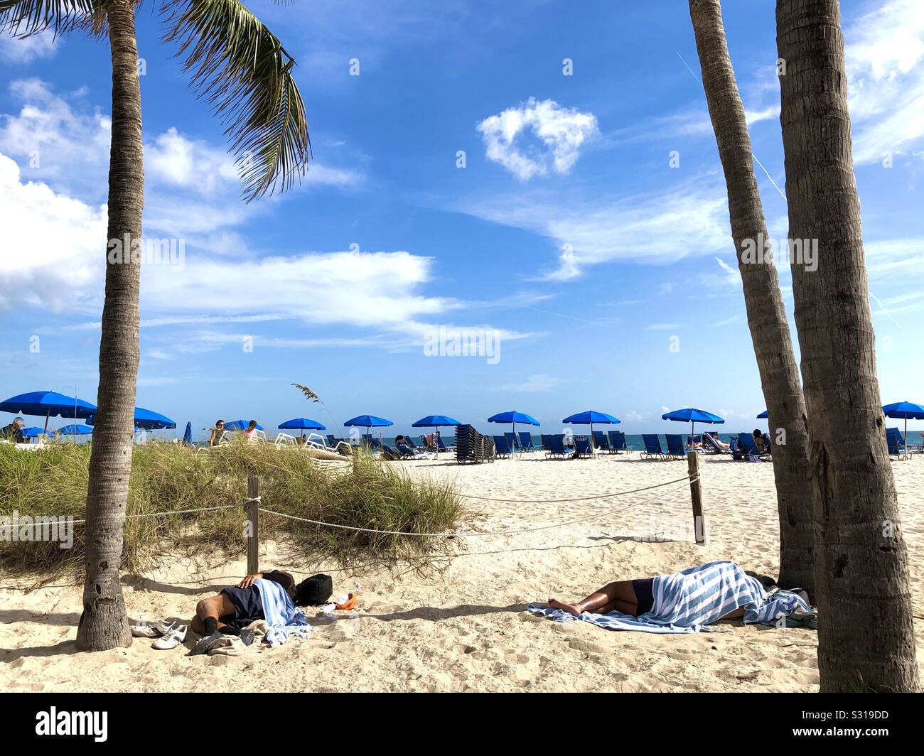 Two homeless men sleep on the sand while tourists sit under umbrellas and on chaise lounges along the ocean beach in Florida. - Smartphone Captured Stock Image