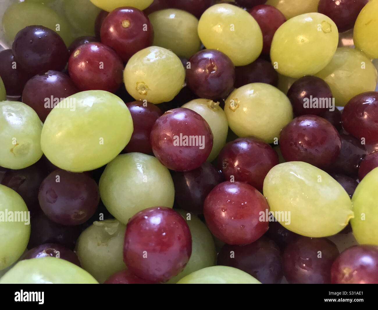 Mixed grapes. - Smartphone Captured Stock Image