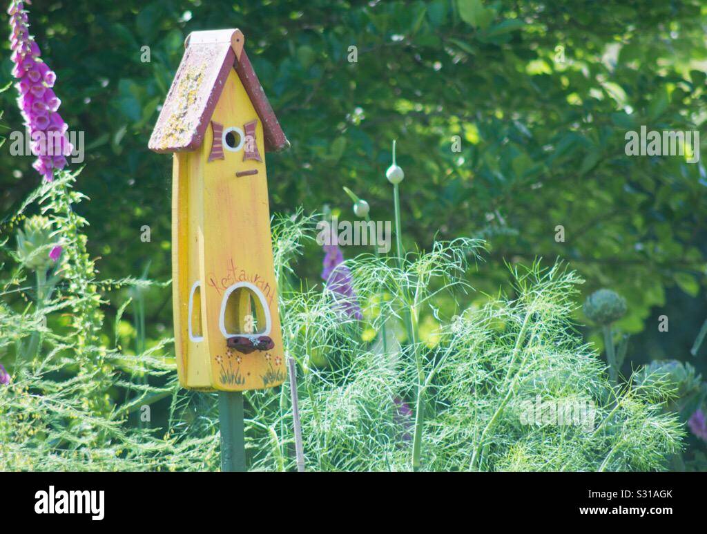 Garden designs - Smartphone Captured Stock Image