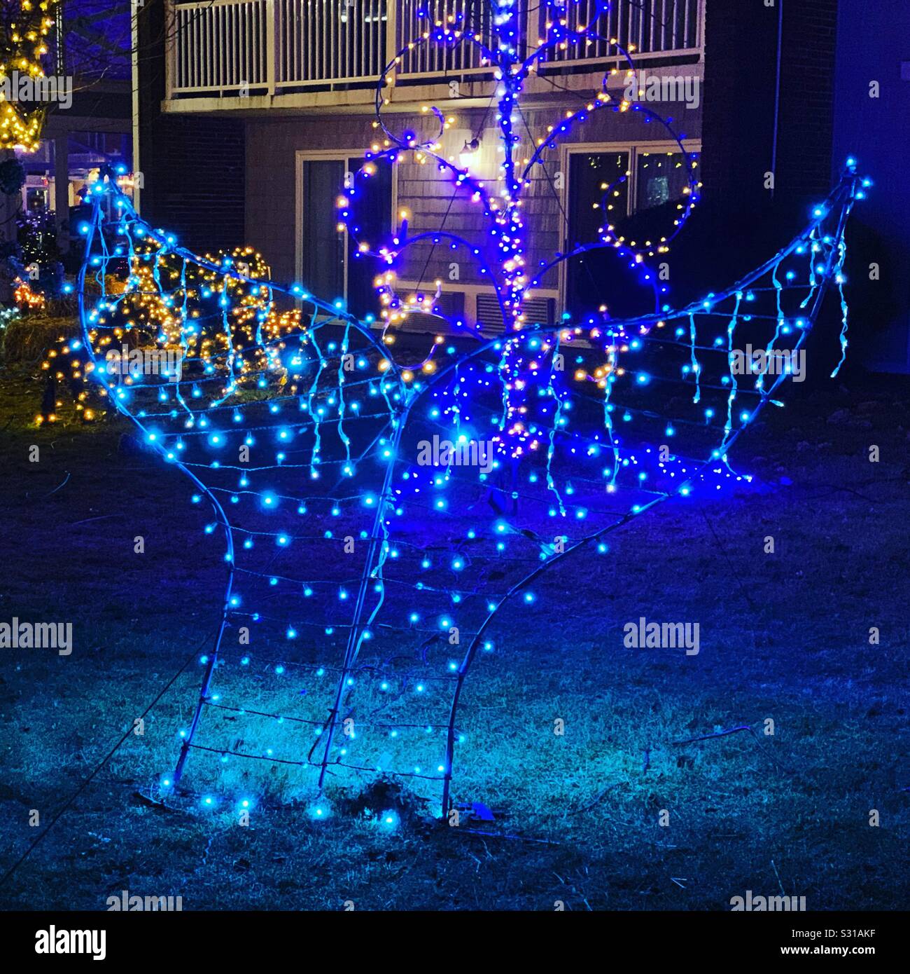 Lights arranged to resemble a whale’s tail at the Cape Codder Resort in December, Hyannis, Cape Cod, Massachusetts, United States - Smartphone Captured Stock Image