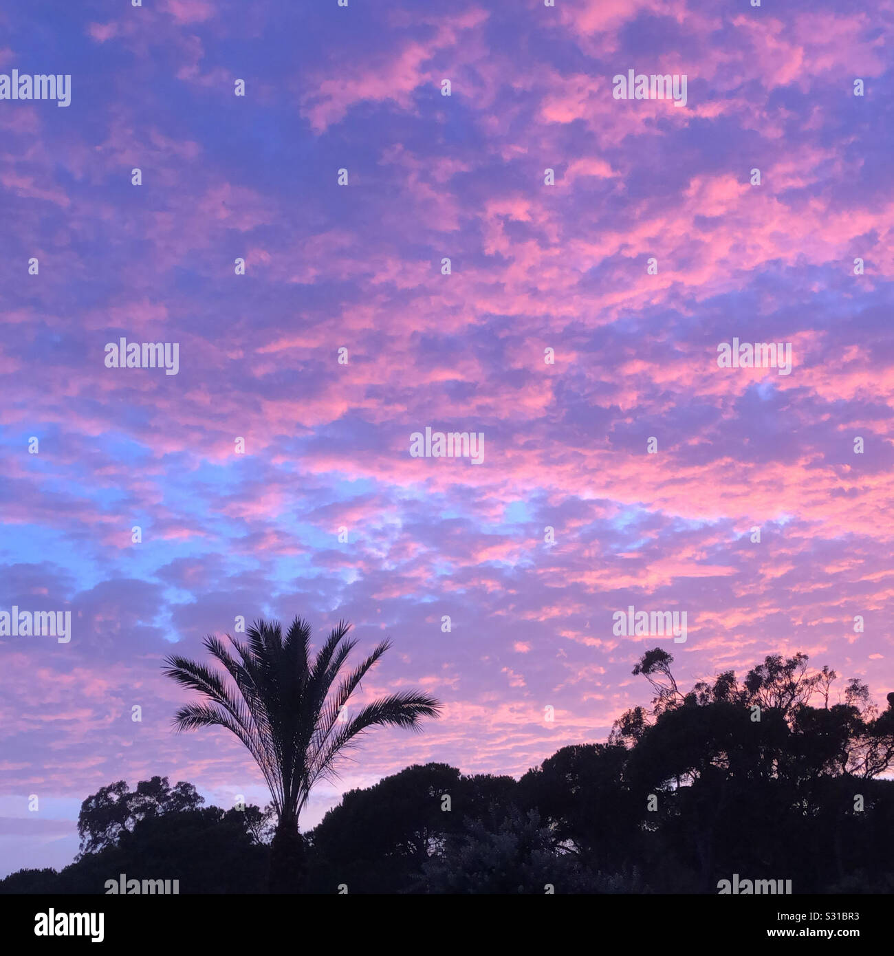 Pinksky High Resolution Stock Photography And Images Alamy Pinksky High Resolution Stock Photography And Images Alamy