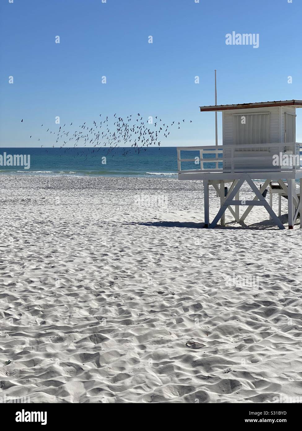 Lifeguard house on white sand beach with large flock of pigeons flying over water - Smartphone Captured Stock Image