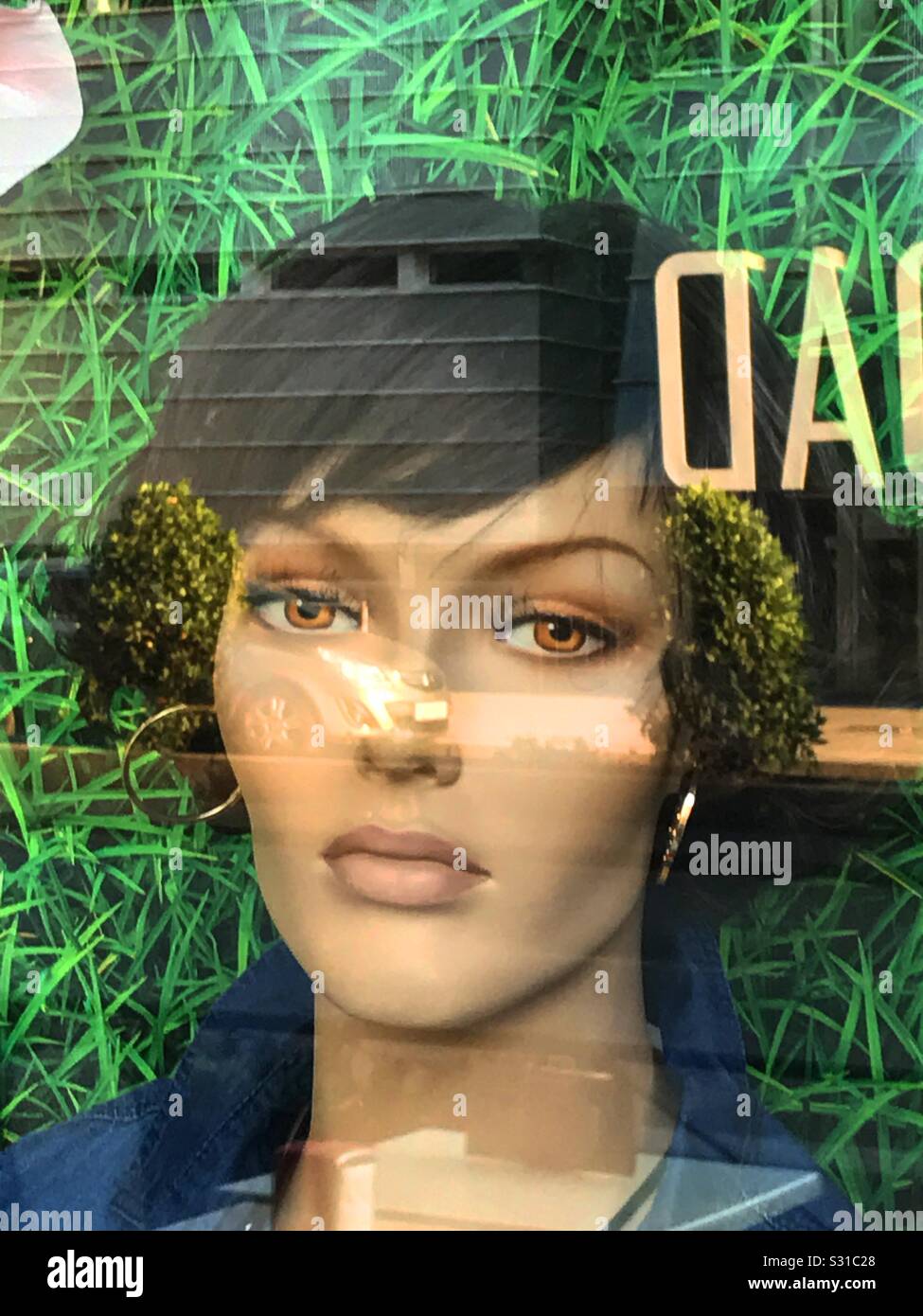 Mannequin head in a shop window - Smartphone Captured Stock Image