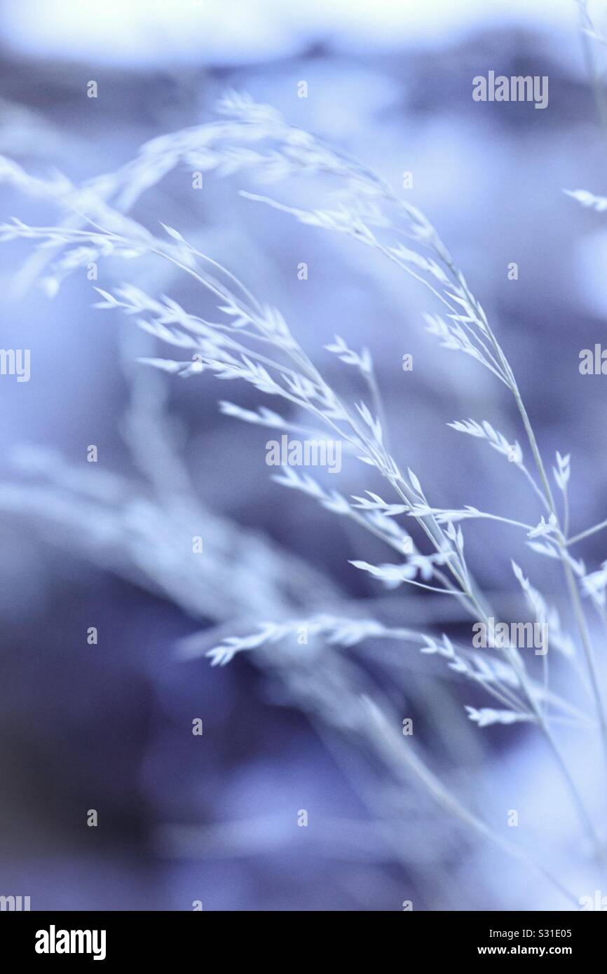 Cold and photography hires stock photography and images Alamy