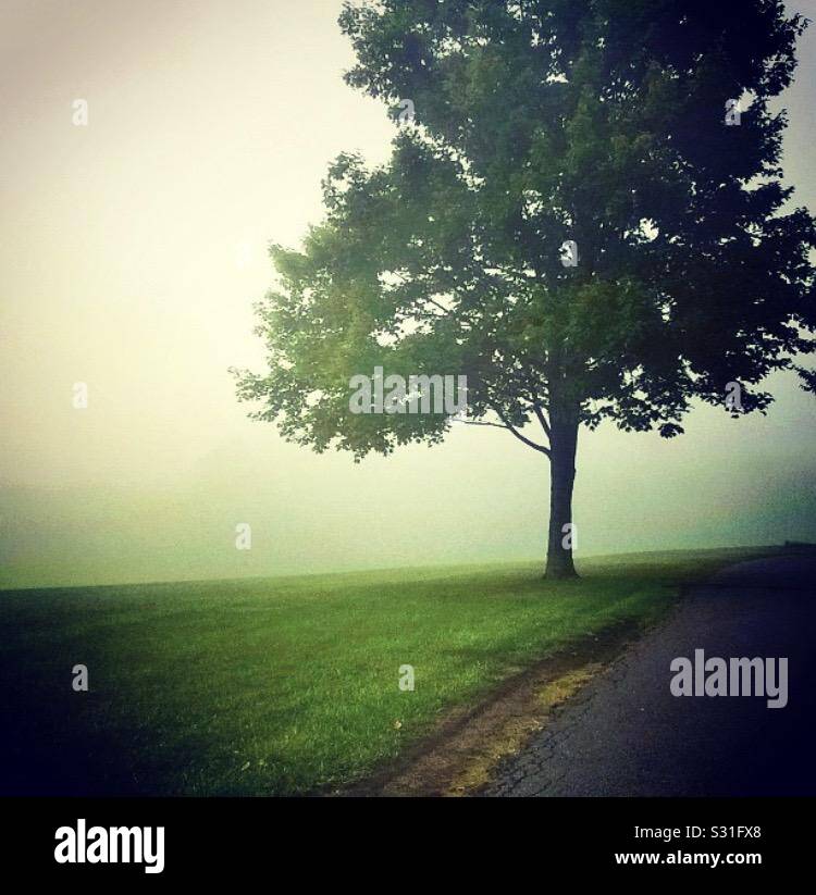 Herkimer ny hires stock photography and images Alamy