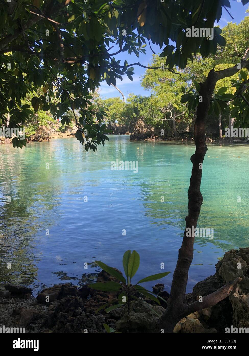 Blue lagoon, Vanuatu Stock Photo