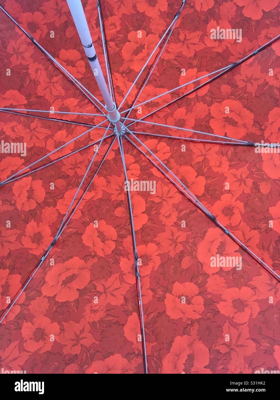 Underside of umbrella Stock Photo Alamy