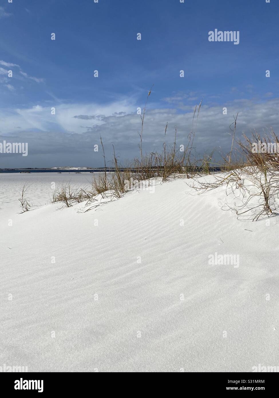 White sand dunes and beach with dune grass Stock Photo