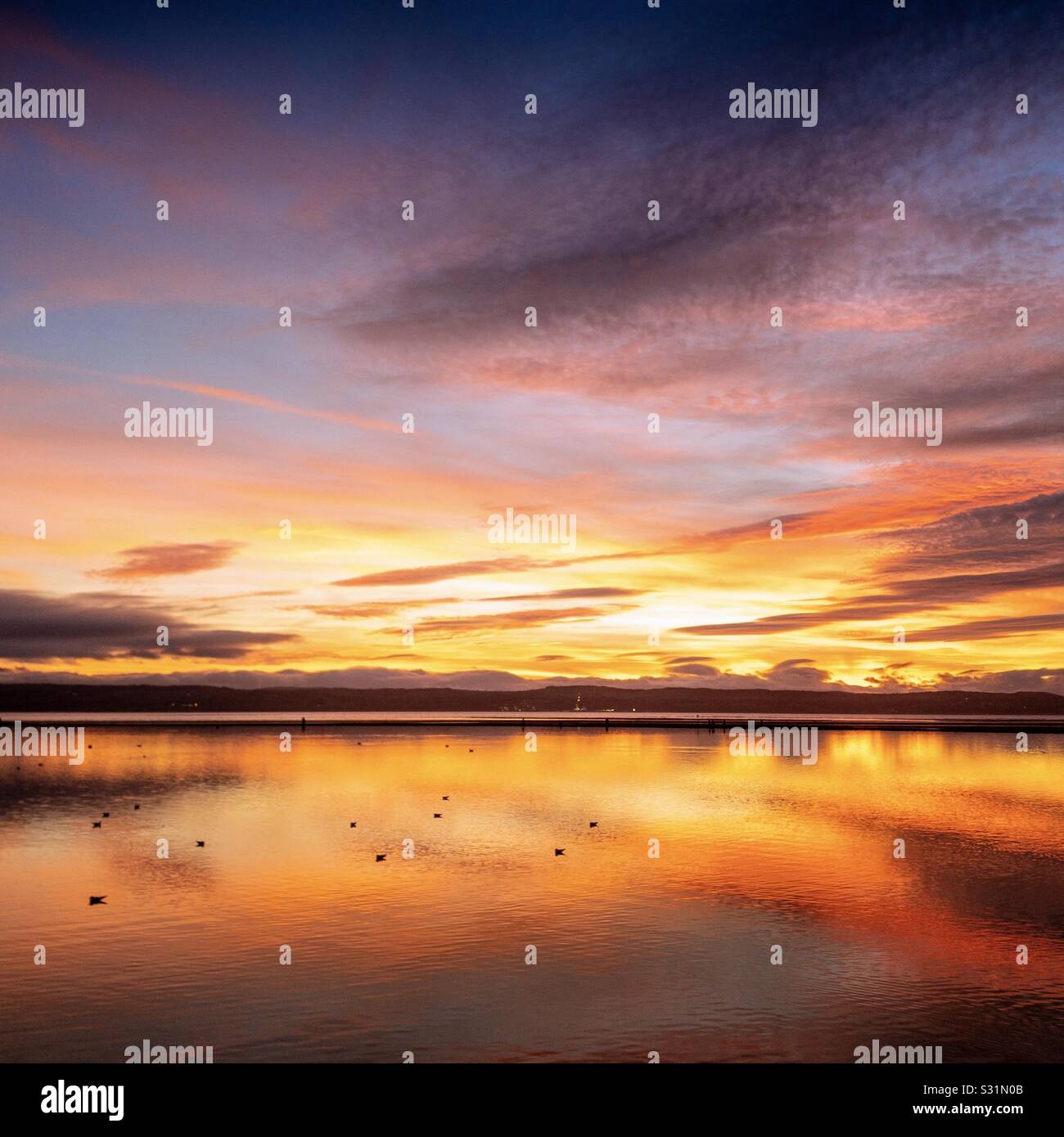 Dramatic sunset.  Golden hour horizon. Sunset reflections in the water - Smartphone Captured Stock Image