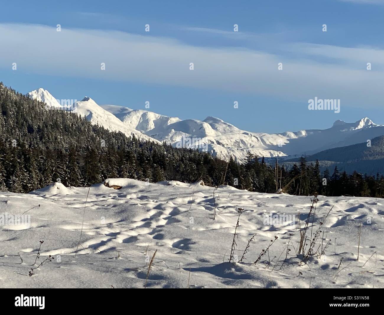 Landscape view of mainland mountains bordering with the Juneau Icefield Stock Photo