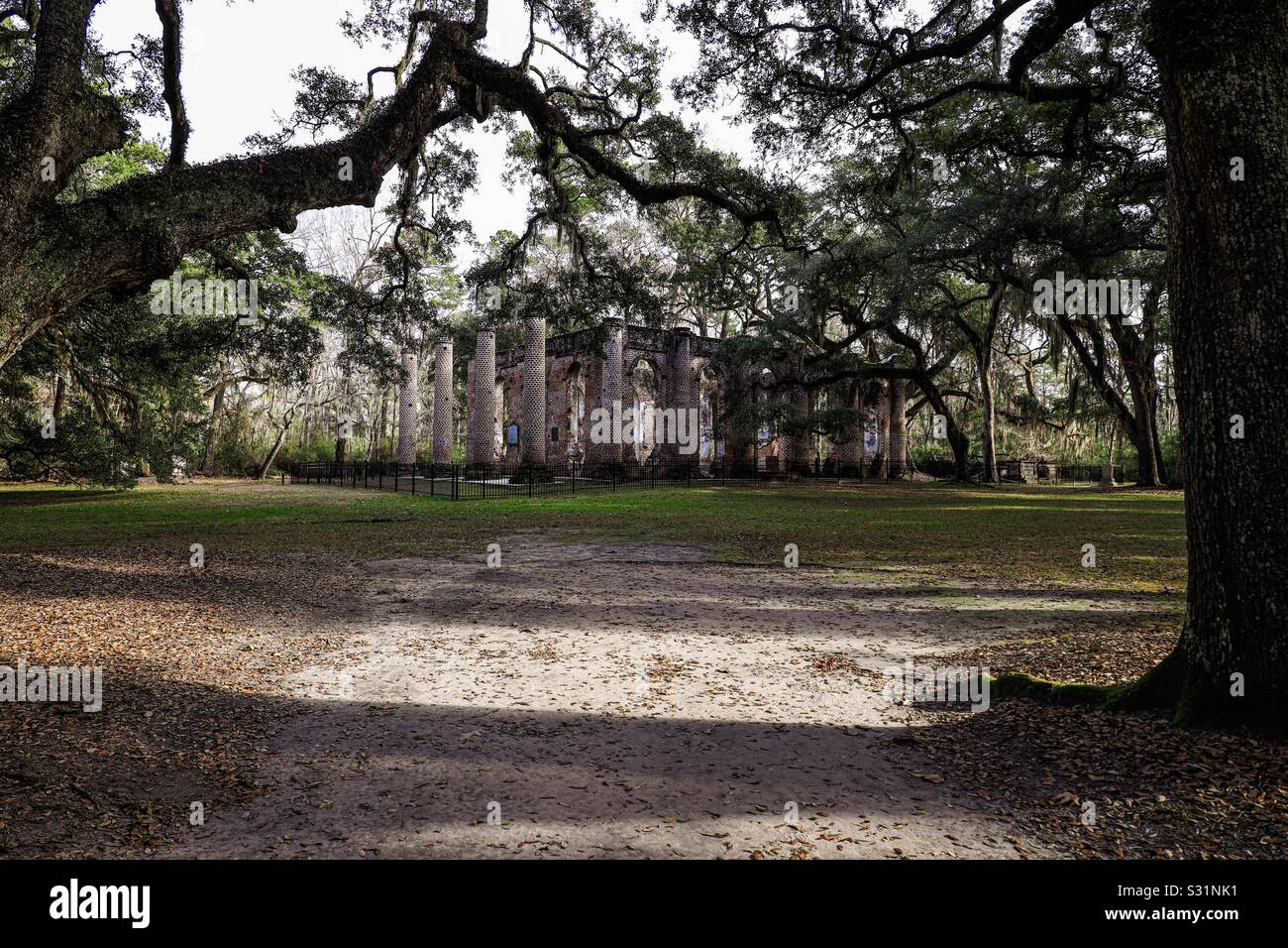 Church ruins and live oaks in Beaufort SC Stock Photo Alamy