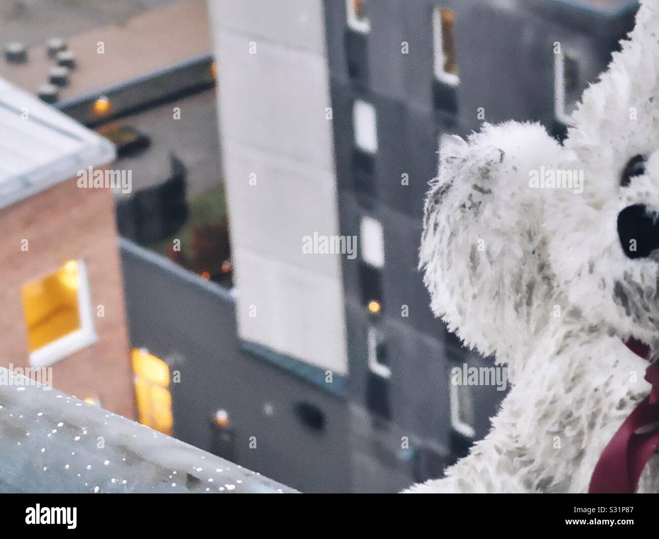 Teddy bear on ledge of highrise building at dusk depicting person contemplating giving up their life by suicide - Smartphone Captured Stock Image