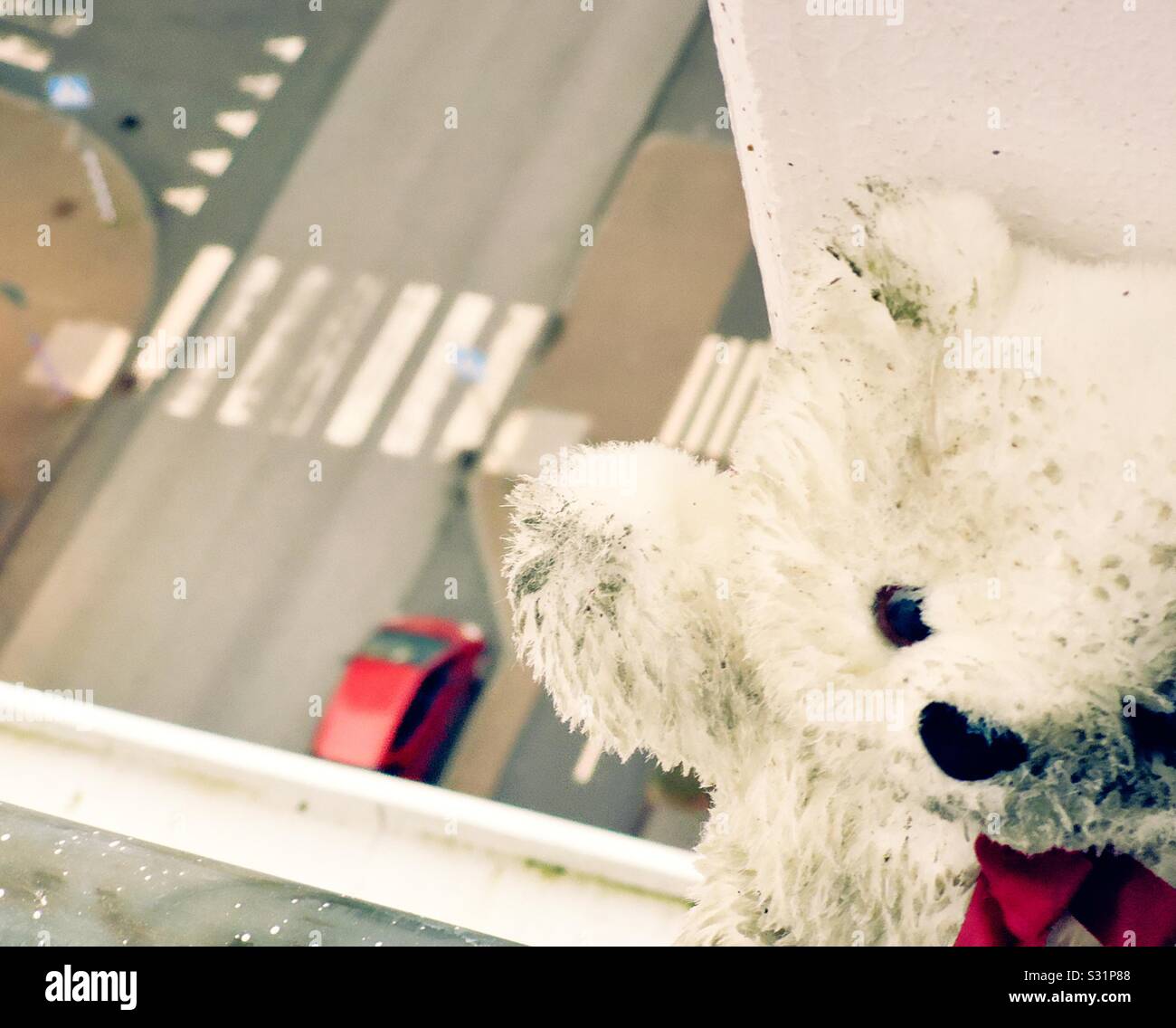 Teddy bear on ledge of highrise building with road, pedestrian crossing and red car far below Stock Photo