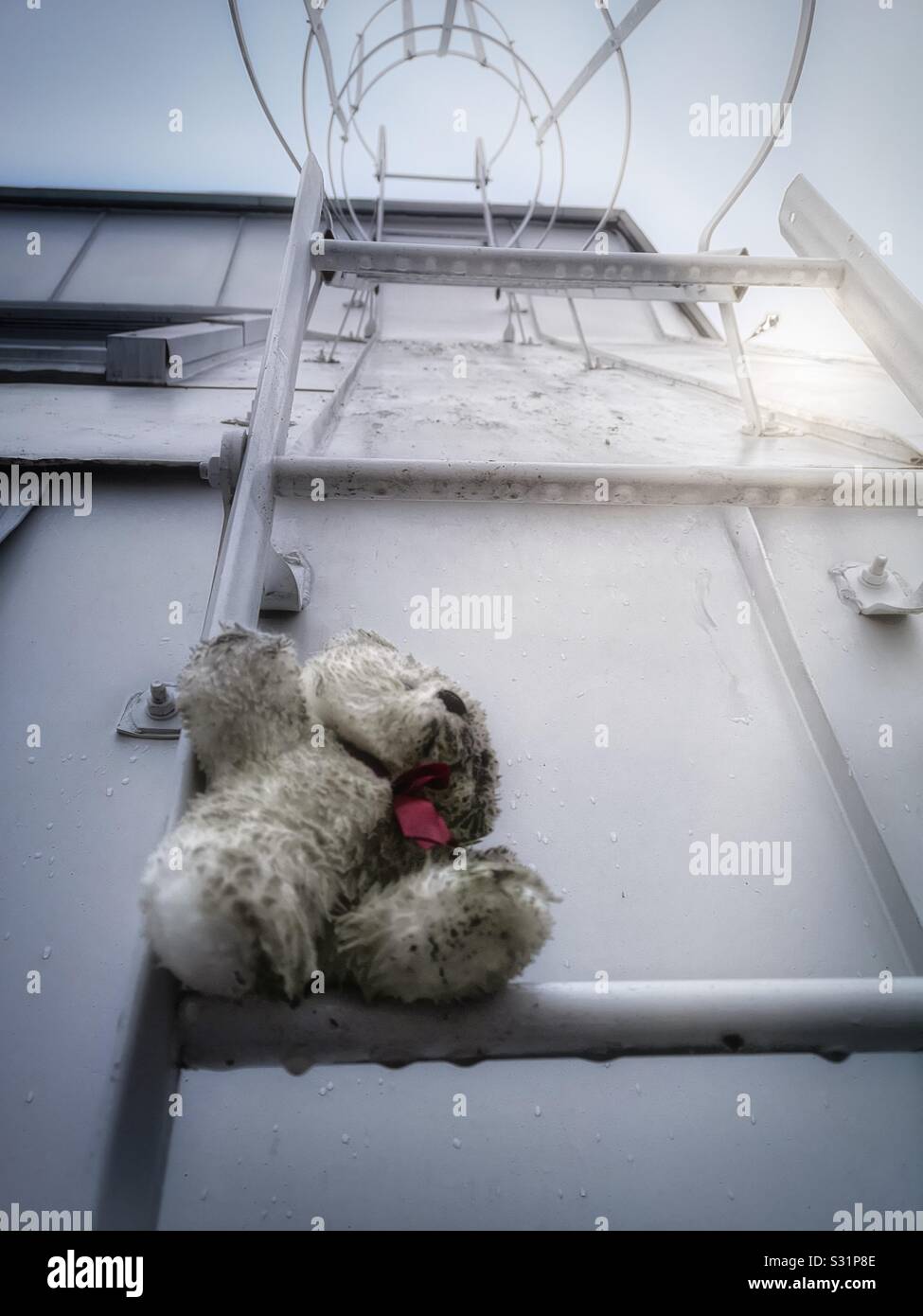 Dirty teddy bear on rung of wet roof escape ladder, Sweden Stock Photo