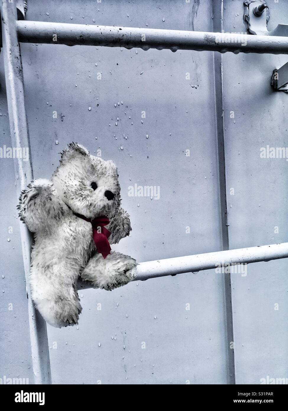 Dirty teddy bear on rung of wet roof escape ladder, Sweden Stock Photo