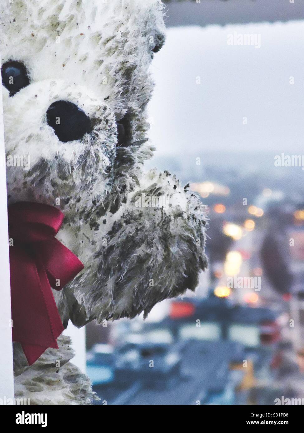 Teddy bear on ledge of highrise building at dusk depicting person contemplating giving up their life by suicide - Smartphone Captured Stock Image