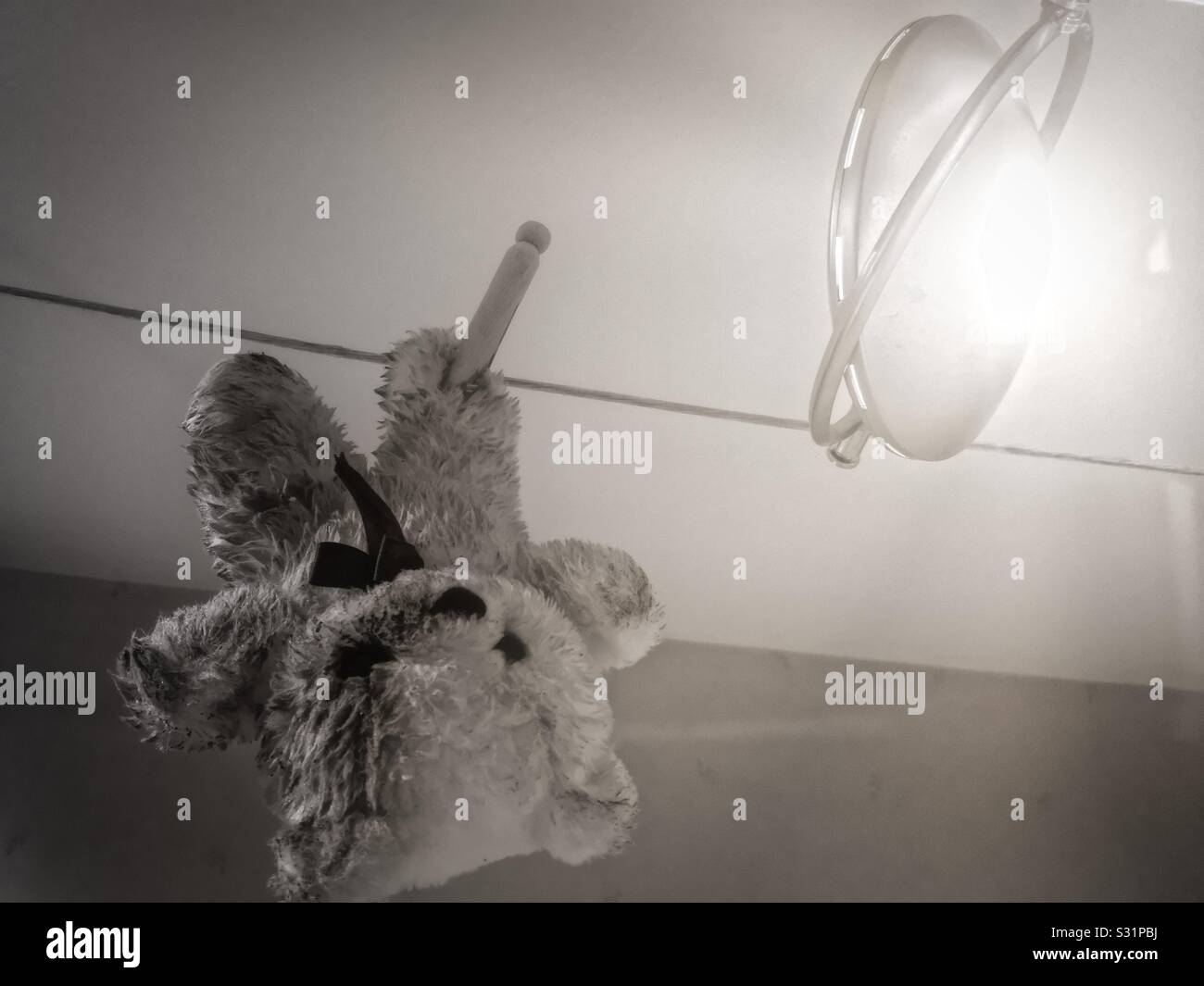 Wet teddy bear hanging upside down from light system to dry Stock Photo