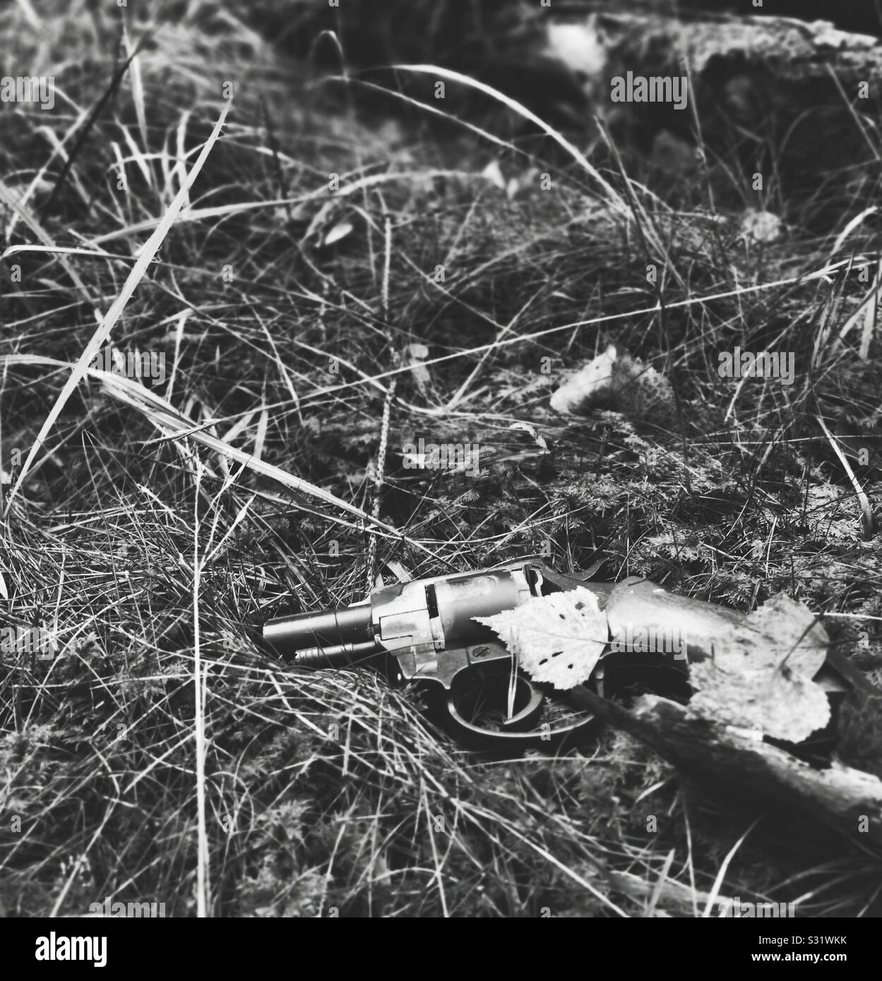 Black and white image of gun pistol abandoned on forest floor amongst leaves Stock Photo
