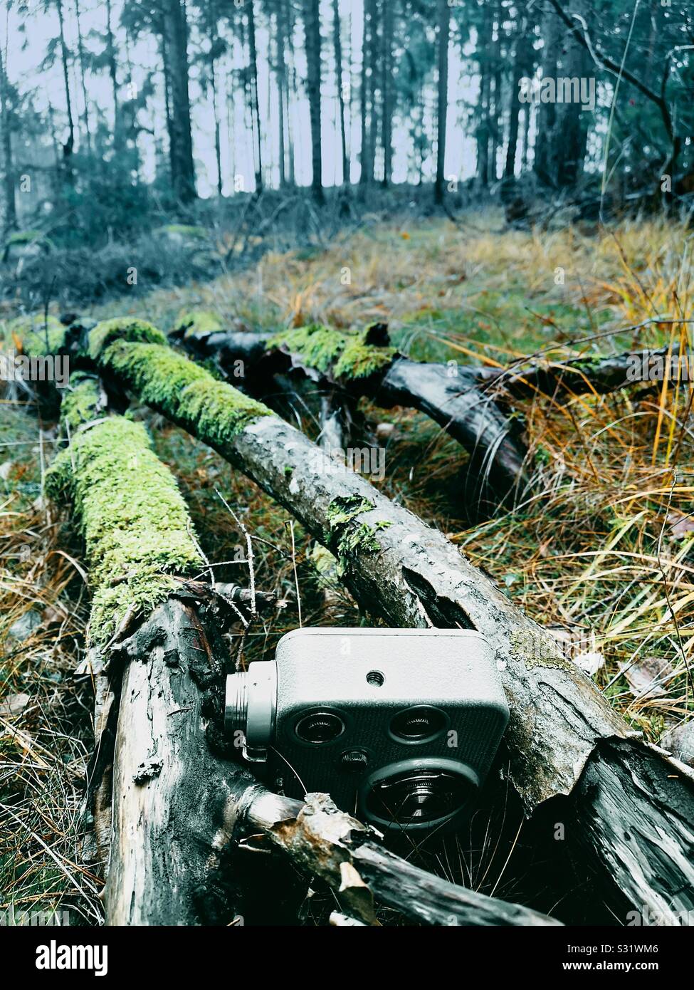 Retro movie camera in forest landscape between two fallen tree trunks, depicting concept of surveillance, Sweden Stock Photo