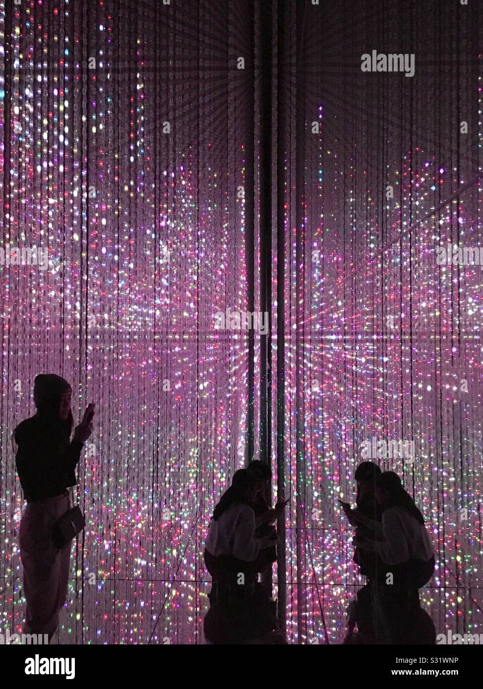 Mori Building Digital Art Museum Epson teamLab Borderless Odaiba, Tokyo January 2020 Stock