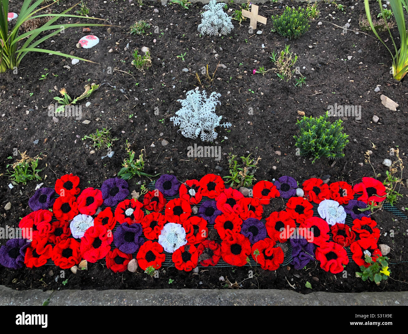 A border of hand knitted poppies among other plants for Remembrance Day - Smartphone Captured Stock Image