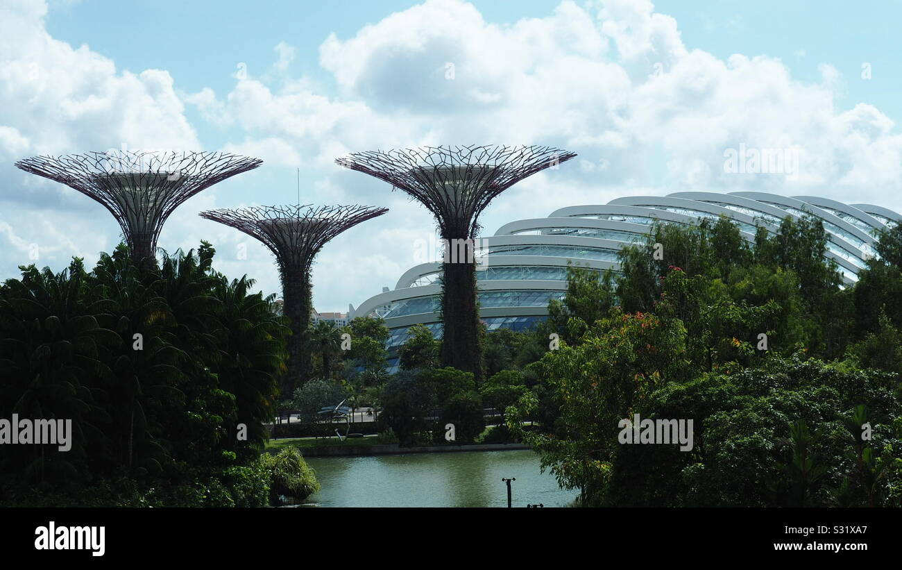 Gardens by the bay - Smartphone Captured Stock Image