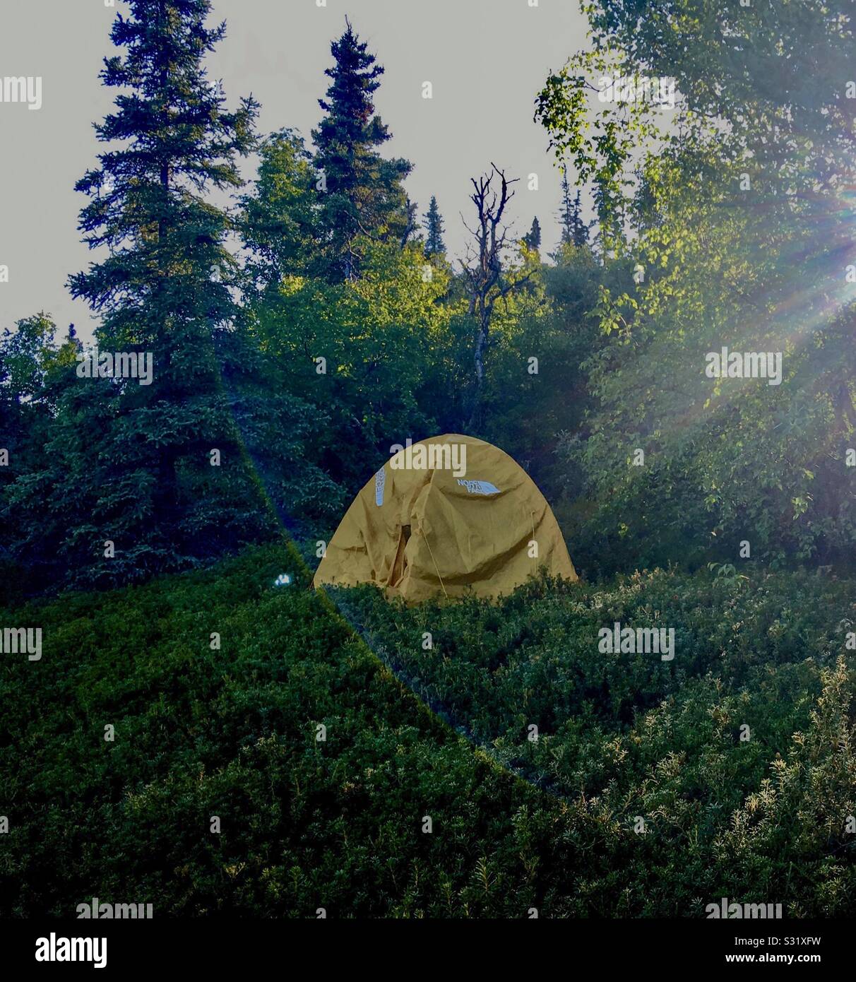 Camping in bush Alaska Stock Photo Alamy