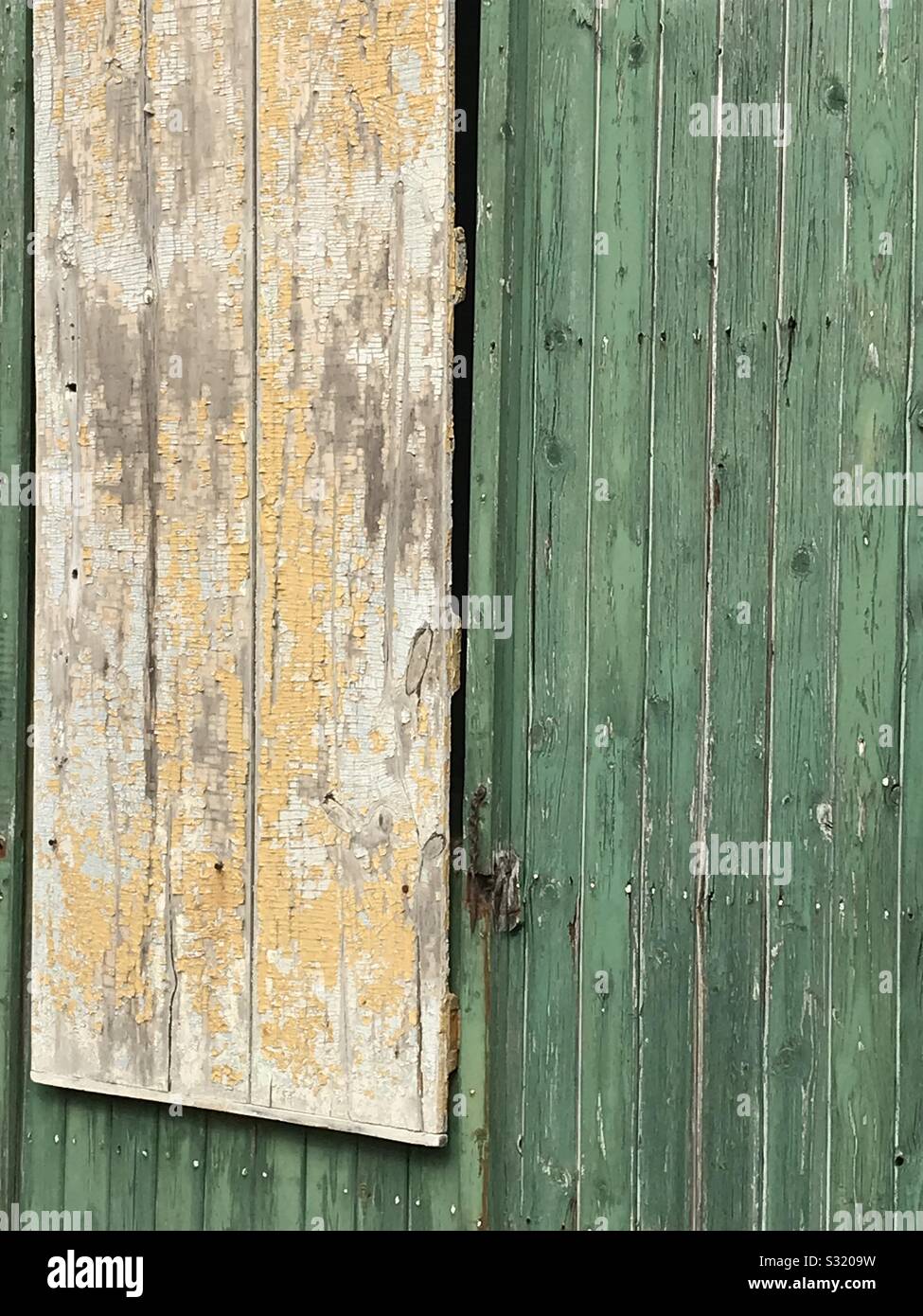 Weather distressed, yellow and green wooden exterior walls. Abandoned rural structure. - Smartphone Captured Stock Image
