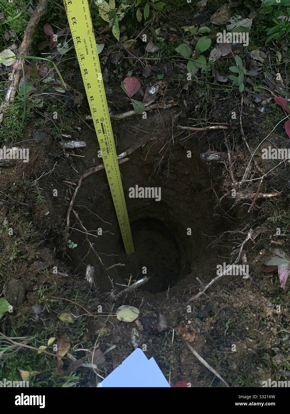 Digging soil pits Stock Photo